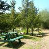 Picnic table along Lake trail.