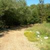 Trail along the habitat area.