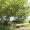 Fishing Spot!
